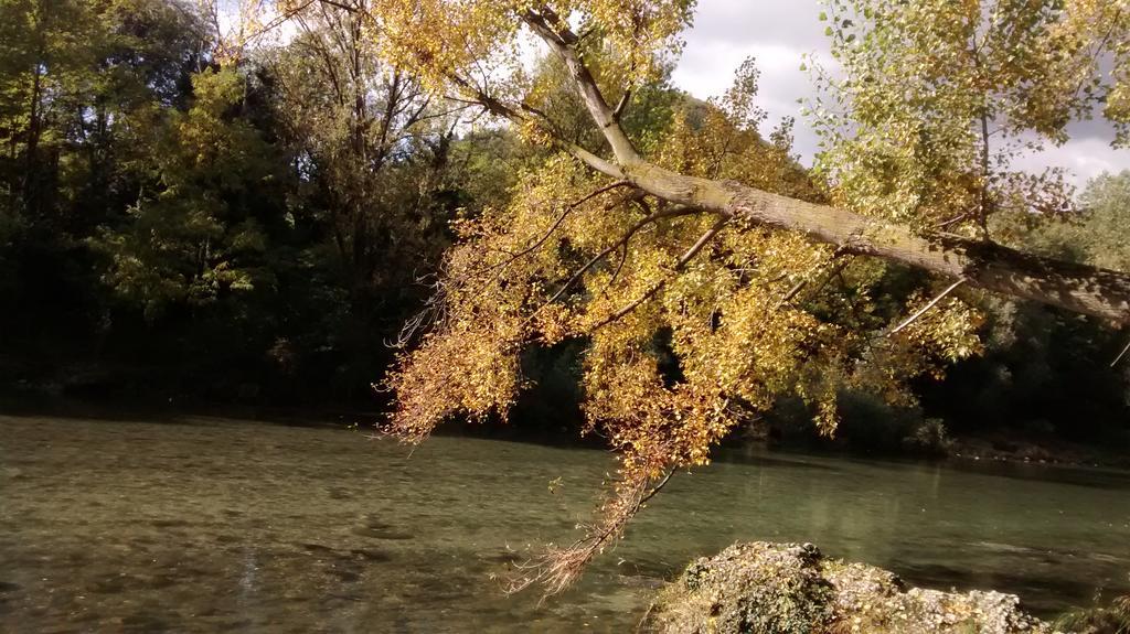 Appartamento Il Tiglio Bassano del Grappa Bagian luar foto